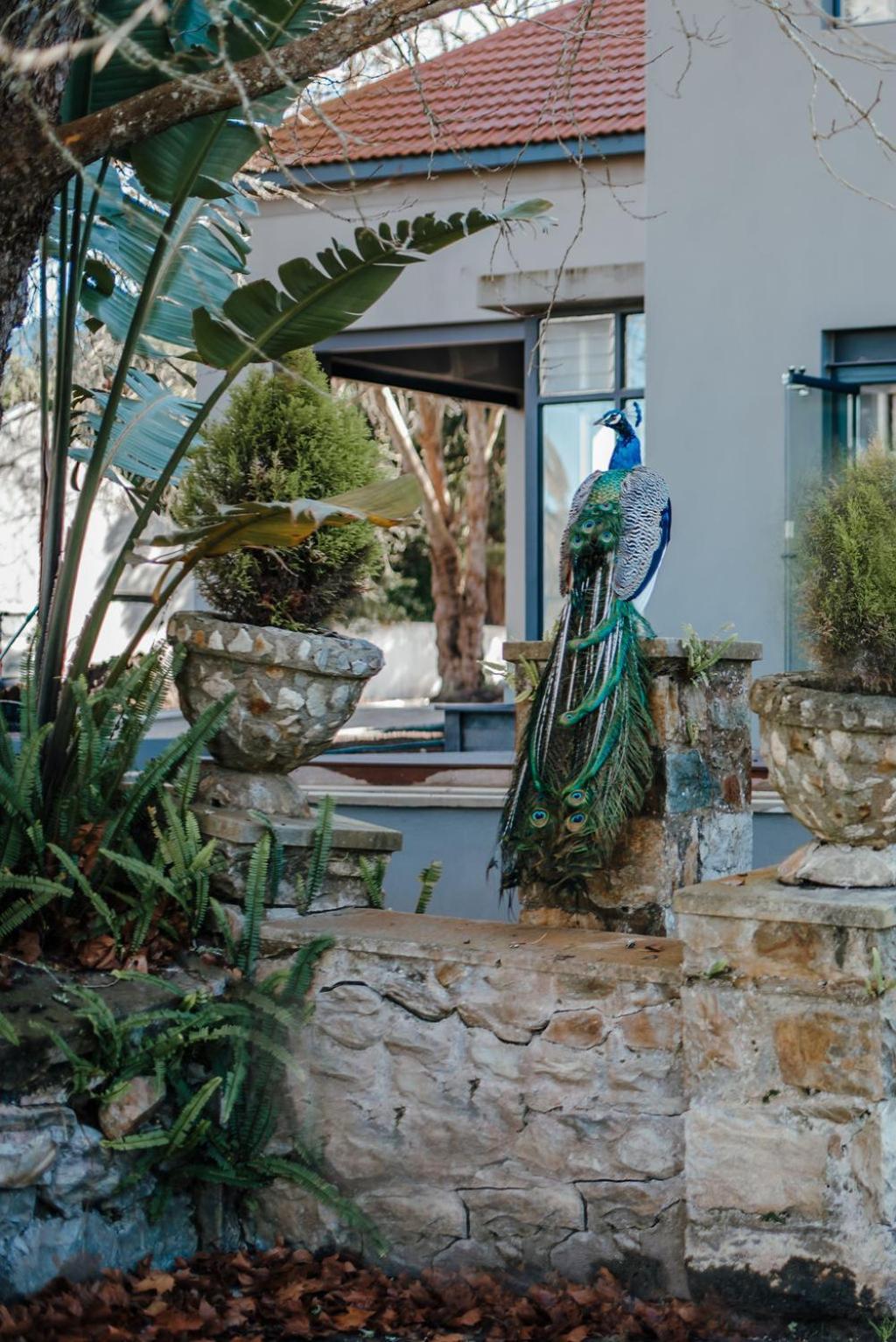 The Hawthorn Boutique Hotel جورج المظهر الخارجي الصورة